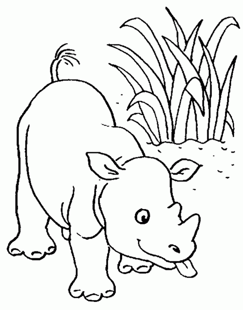 Dibujo de pequeño rinoceronte
