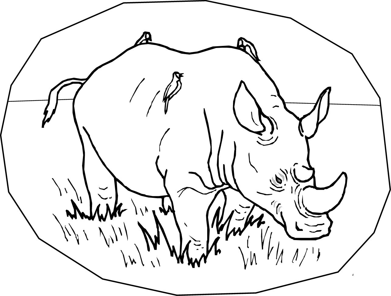 Imagen De Rinoceronte Para Colorear