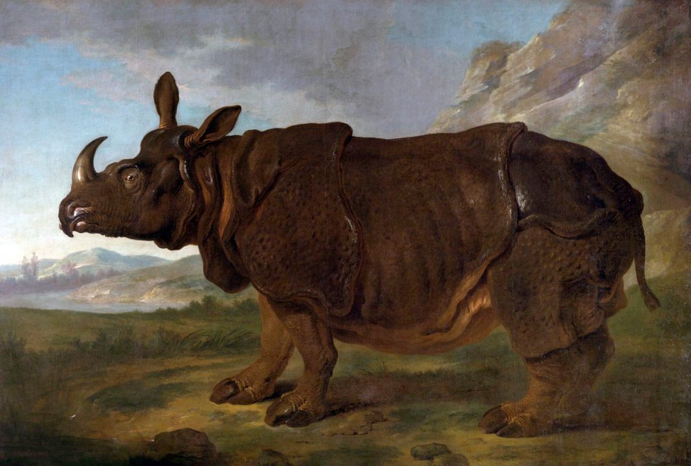 Rinoceronte Clara, Jean-Baptiste Oudry