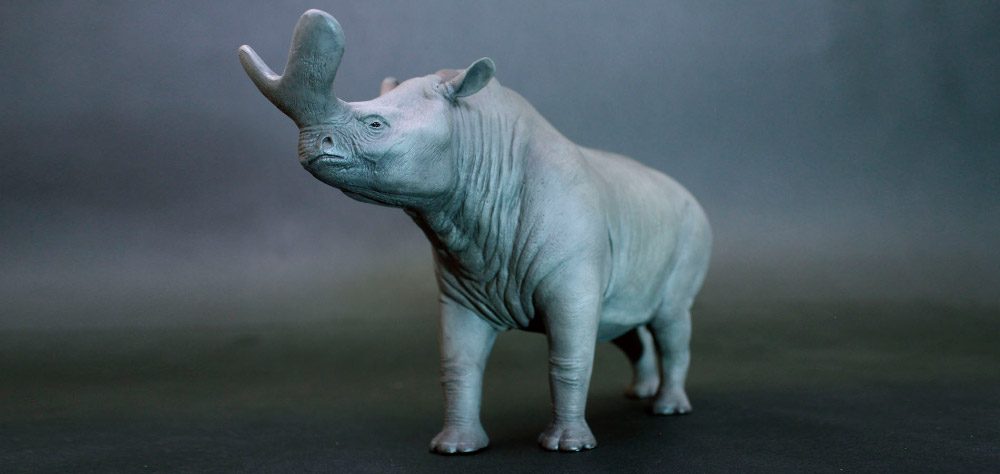 Rinocerontes prehistóricos