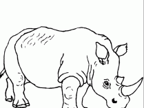 Pintar dibujos de rinocerontes