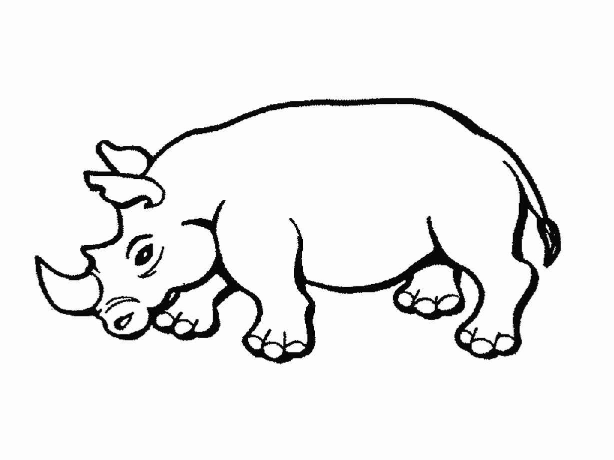 Dibujos de rinocerontes para pintar