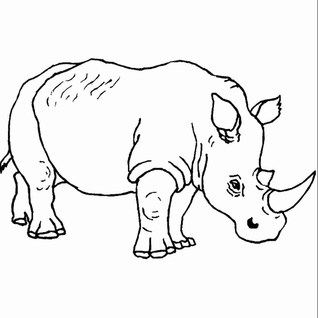 Pintar dibujos de rinocerontes