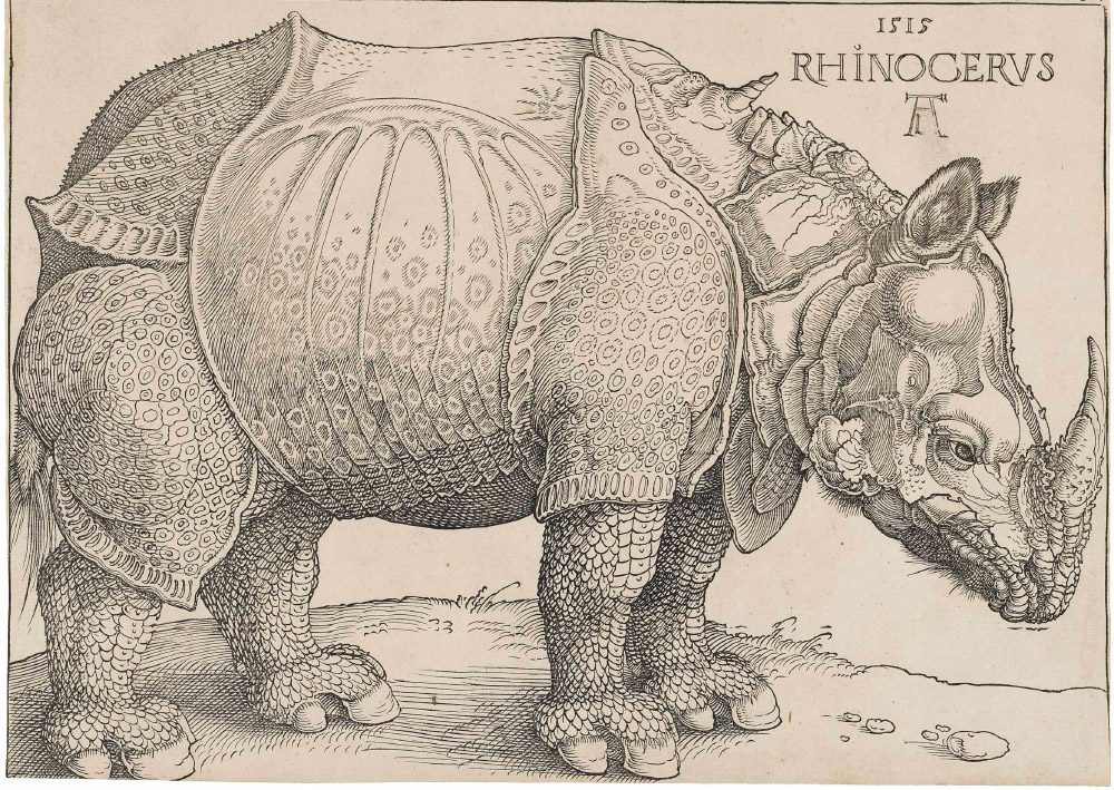Rinoceronte de Durero