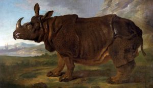 Clara, la rinoceronte