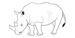 Dibujos de rinocerontes